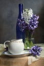 Still-life with hyacinths Royalty Free Stock Photo