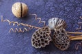 Still life - ikebana of dry lotuses and coconut balls. Textile background Royalty Free Stock Photo