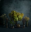 Still life image of dried flowers and plants in glass bottles on dark blue grunge background Royalty Free Stock Photo