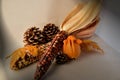 Still Life with Indian corn, a gourd and pine cones Royalty Free Stock Photo