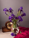 Still life with iris Royalty Free Stock Photo
