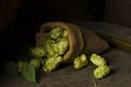 Still Life with a keg of beer. Royalty Free Stock Photo