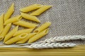 Still life for a kitchen of wheat ears and pasta from wheat on a sackcloth background Made in Kazakhstan Royalty Free Stock Photo