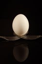 Still-life. A large White egg lies on two crossed rolls on a Black background with a reflection