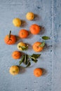 Still Life lemons, oranges and flowers composition in a blue background Royalty Free Stock Photo