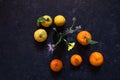 Still Life lemons, oranges and flowers composition in a dark stone background Royalty Free Stock Photo