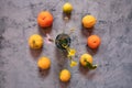 Still Life lemons, oranges and flowers composition in a dark stone background Royalty Free Stock Photo