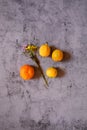 Still Life lemons, oranges and flowers composition in a dark stone background Royalty Free Stock Photo