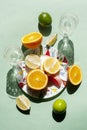 Still life with Lemons, Oranges and Limes Royalty Free Stock Photo