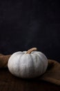 Still life of light pumpkin lies on a rough brown bag for vegetables on a black background side view