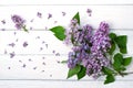 Still life with lilac flowers Royalty Free Stock Photo