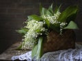 Still life with lily of the valley in a basket Royalty Free Stock Photo