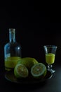 Limoncello traditional italian lemon liqueur with bottle, glass and fresh lemon halves