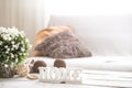 Still life in the living room with wooden inscription home Royalty Free Stock Photo