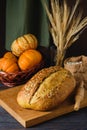 Still life with a loaf of pumpkin bread, spikelets, decorative pumpkins and a wooden board. World Bread Day