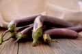 Still life with long asian eggplant Royalty Free Stock Photo