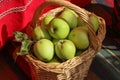 Still life with lots of apples in an old wicker basket, outside shot Royalty Free Stock Photo