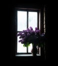 Still life from lush lilac boquet
