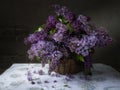Still life with a luxurious bouquet in a basket Royalty Free Stock Photo