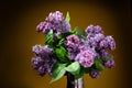 Still life with a luxurious bouquet. Bouquet of purple lilac flowers Royalty Free Stock Photo