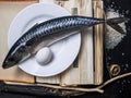 Still life with mackerel