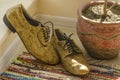 Still life with man shoes, flower pot and woven rug Royalty Free Stock Photo