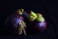 Still life Mangoesteen, Queen of fruits, fruit on black background