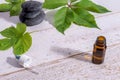 Still life of meditation, a pyramid of three stones, an open bottle with a pipette and green leaves, a place for text