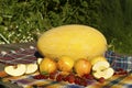 Still life with melon, apples, red currants and raspberries Royalty Free Stock Photo