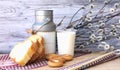 Still life: milk, bread, willow Royalty Free Stock Photo