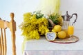 Still life with mimosa branches, lemons and juice.