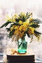 Still life with mimosa in green bottle on a window sill Royalty Free Stock Photo