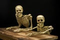 Still life of model skeleton in Halloween concept