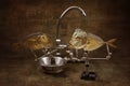 Still life with moonfish and kitchen faucet Royalty Free Stock Photo