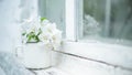 still life with mug with flowering branch of apple tree on white window sill near an old wooden window. Vintage image Royalty Free Stock Photo