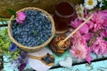 Still life with natural honey, honeycomb cut in pieces and honeysuckle berry with flowers on wooden background outside. Royalty Free Stock Photo