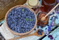 Still life with natural honey, honeycomb cut in pieces and honeysuckle berry with flowers on wooden background outside. Royalty Free Stock Photo