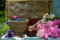 Still life with natural honey, honeycomb cut in pieces and honeysuckle berry with flowers on wooden background outside. Royalty Free Stock Photo