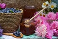 Still life with natural honey, honeycomb cut in pieces and honeysuckle berry with flowers on wooden background outside. Royalty Free Stock Photo