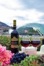 Still life on the nature of grapes, wine, hats and flowers on the background of the glass bridge of the world in Tbilisi, Georgia.