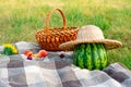 Still life in nature or recreation: a green watermelon in straw hat, a wicker basket with fruits, delicious peaches, plums. Royalty Free Stock Photo