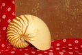 Nautilus Shell On Retro Background Royalty Free Stock Photo