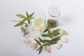 Still life of oil and fine herbs Royalty Free Stock Photo