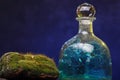 Still-life with old bottle and moss. Ecology Concept