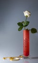 Still life with one white rose Royalty Free Stock Photo