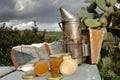 Still-life shot on open air of equipment for working with bees and various honey pots