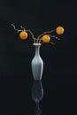 Still life with orange balls in a white vase
