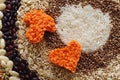 Cereal Swatch: Orange lentils in the shape of a heart and mushroom Royalty Free Stock Photo