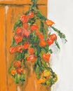 Still life of orange physalis flowers