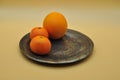 Still life of oranges and tangerines resting on an elegant and antique silver plate Royalty Free Stock Photo